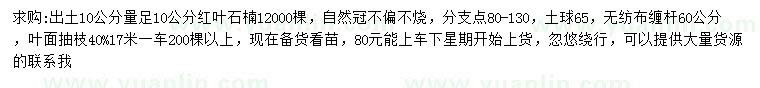 求購10公分量足10公分紅葉石楠