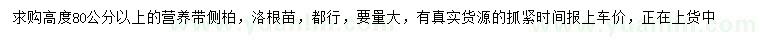 求購(gòu)高80公分以上側(cè)柏