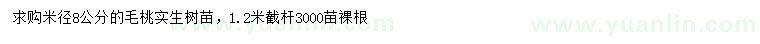 求購米徑8公分毛桃