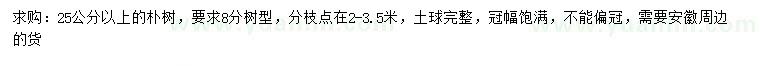求購25公分以上樸樹