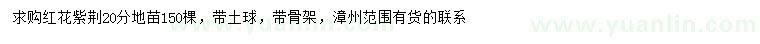 求購20公分紅花紫荊