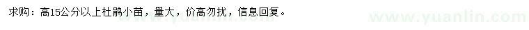求購(gòu)高15公分以上杜鵑