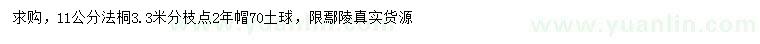 求購11公分法桐
