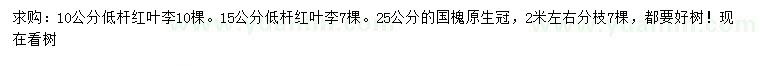 求購(gòu)10、15公分紅葉李、25公分國(guó)槐