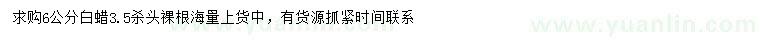 求購6公分白蠟