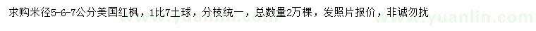 求購米徑5、6、7公分美國紅楓