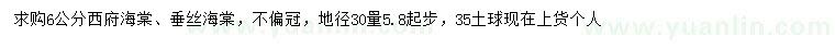 求購6公分西府海棠、垂絲海棠