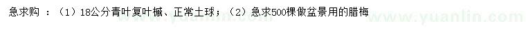 求購18公分青葉復葉槭、臘梅