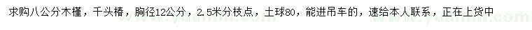 求購8公分木槿、胸徑12公分千頭椿