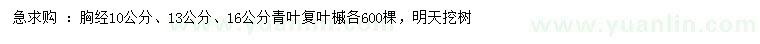 求購胸經(jīng)10、13、16公分青葉復(fù)葉槭
