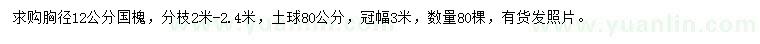 求購胸徑12公分國槐