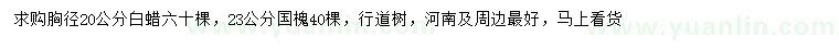 求購胸徑20公分白蠟、23公分國槐