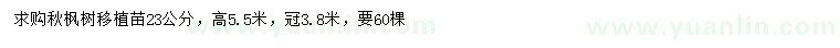 求購23公分秋楓