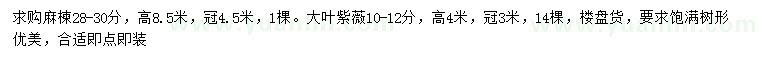 求購28-30公分麻楝、10-12公分大葉紫薇