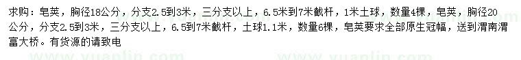 求購胸徑18、20公分皂莢