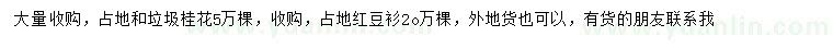 求購(gòu)桂花、紅豆衫