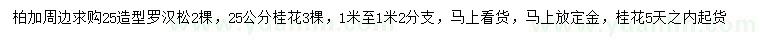 求購25公分羅漢松、桂花