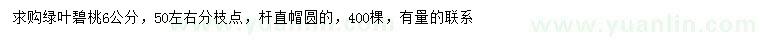 求購6公分綠葉碧桃