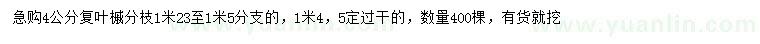 求購4公分復(fù)葉槭