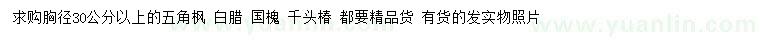 求購五角楓、白臘、國槐等