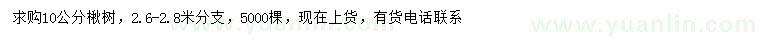 求購(gòu)10公分楸樹