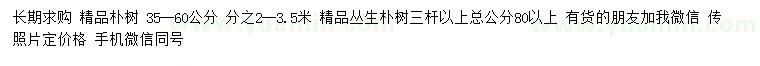 求購35-60公分精品樸樹