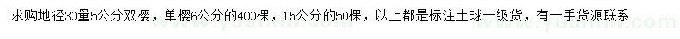 求購地徑30公分量5公分雙櫻、6、15公分單櫻
