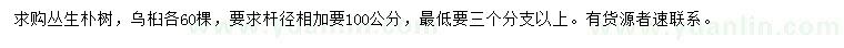 求購(gòu)叢生樸樹、烏桕