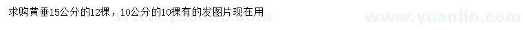 求購(gòu)10、15公分黃垂