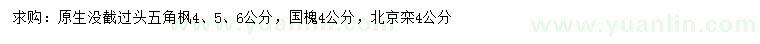 求購五角楓、國槐、北京欒