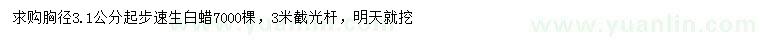 求購胸徑3.1公分起步速生白蠟