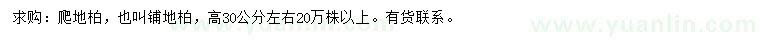 求購(gòu)高30公分左右爬地柏