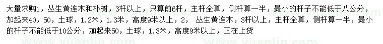 求購叢生黃連木、樸樹