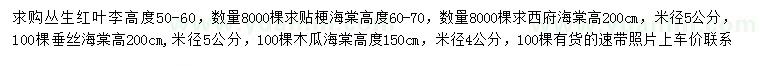 求購叢生紅葉李、貼梗海棠、西府海棠等