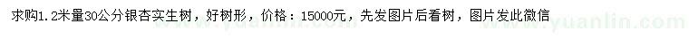 求購1.2米量30公分銀杏