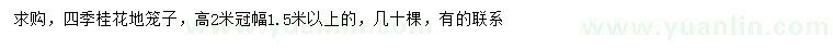 求購(gòu)高2米四季桂花地籠子