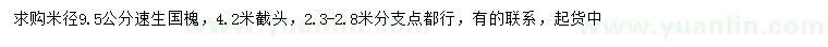 求購米徑9.5公分速生國槐