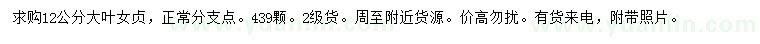 求購12公分大葉女貞