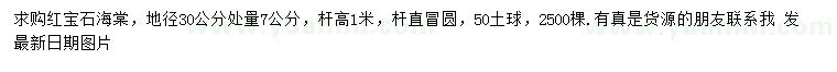 求購地徑30公分量7公分紅寶石海棠