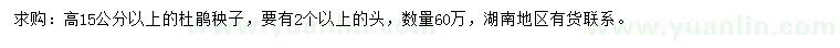 求購(gòu)高15公分杜鵑