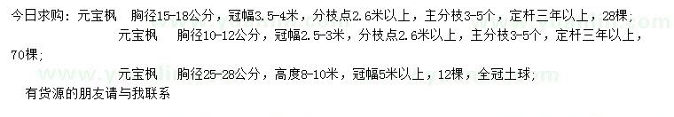 求購10-12、15-18、25-28公分元寶楓