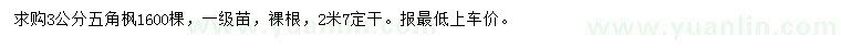求購(gòu)3公分五角楓