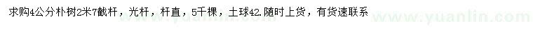 求購4公分樸樹