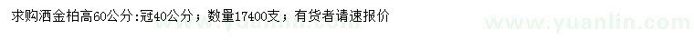 求購(gòu)高60公分灑金柏