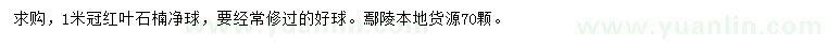 求購冠幅1米紅葉石楠凈球