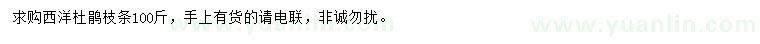 求購(gòu)西洋杜鵑枝條
