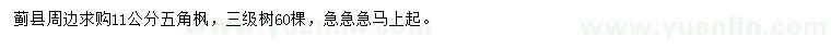 求購11公分五角楓