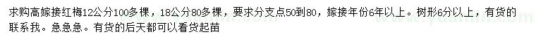求購(gòu)12公分、18公分高嫁接紅梅