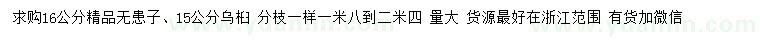 求購(gòu)16公分精品無(wú)患子、15公分烏桕