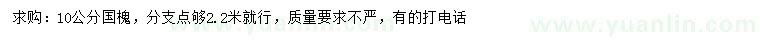 求購(gòu)10公分國(guó)槐